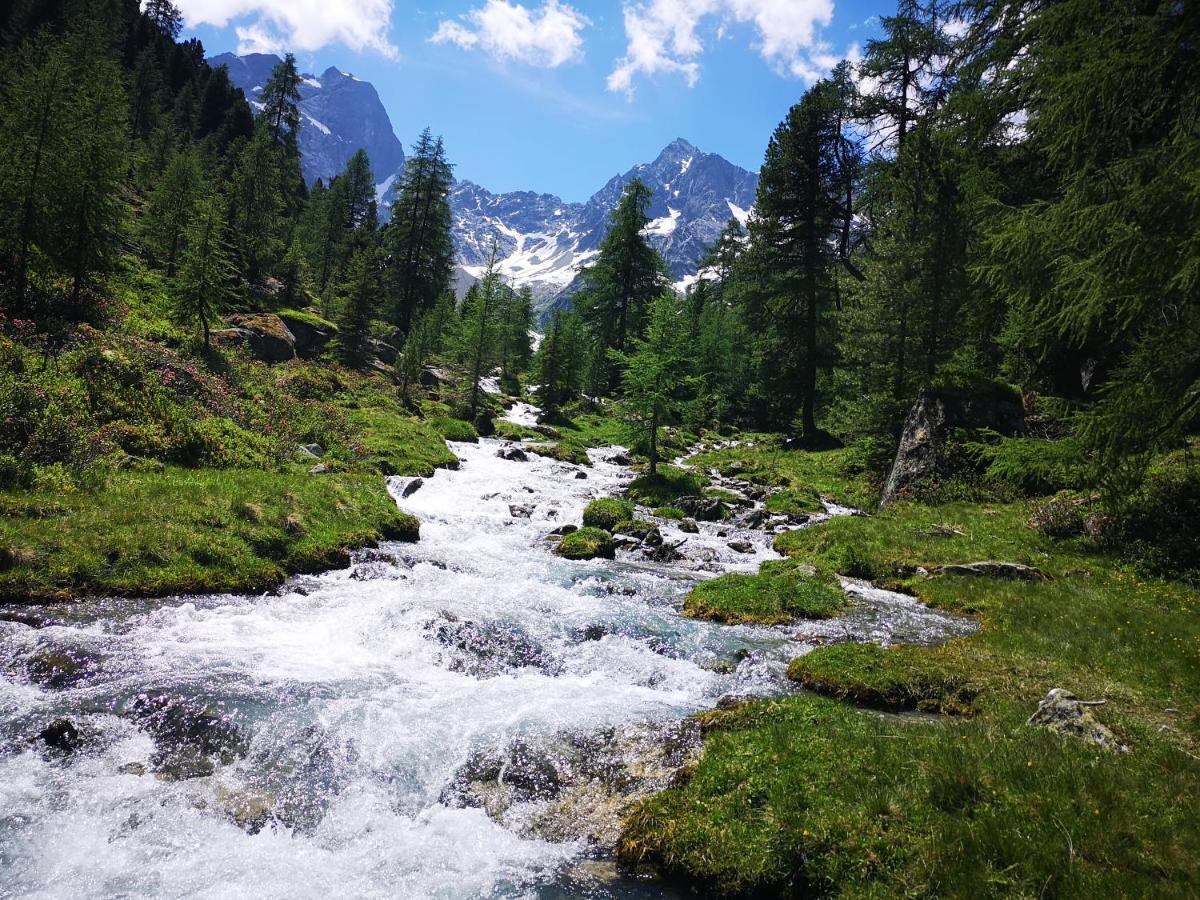 Hotel Pension Siggi Sankt Leonhard im Pitztal Εξωτερικό φωτογραφία